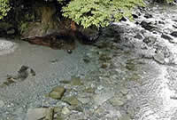奈良県吉野郡にある国立公園内の安全な場所